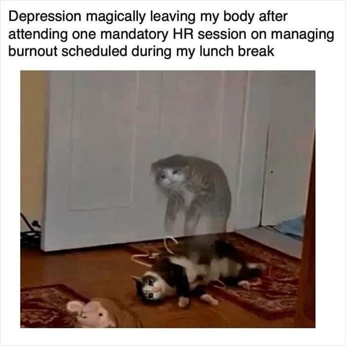 This meme is a humorous illustration of a cat and a dog sitting on the floor, looking extremely depressed. The cat is slumped against the door, while the dog is lying on the floor with its head in its paws. The text above the image reads, "Depression is like a cat that's been sitting on your back for hours and you can't get up."